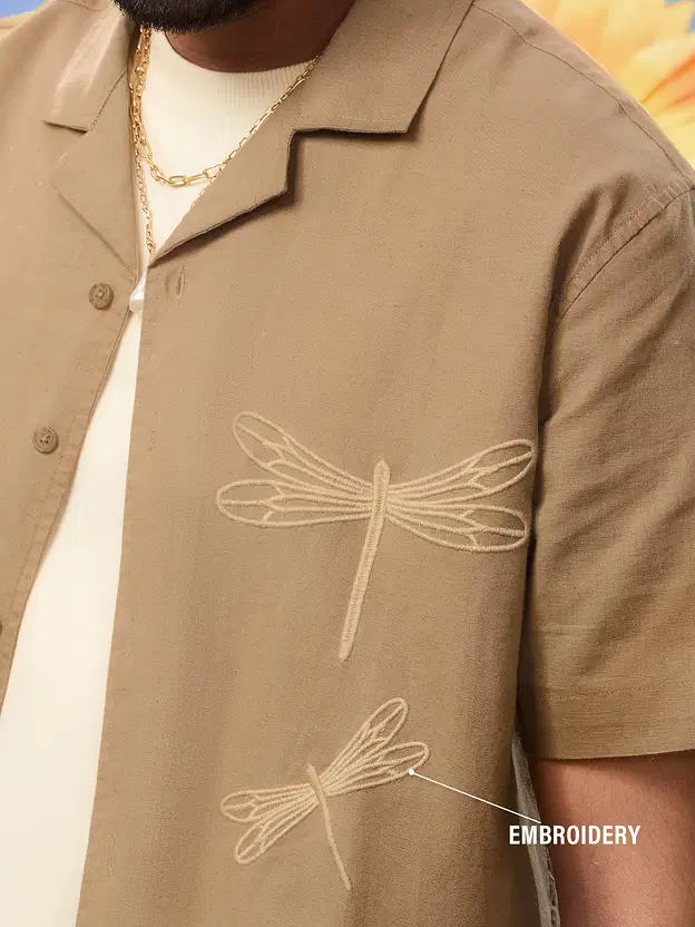 Bloom  Dragon Fly